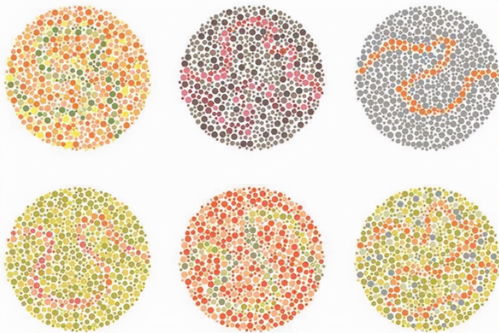 2021色盲图和答案(色盲表答案)