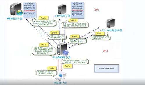 潮州DNS服务器是什么(DNs手机服务器是什么)