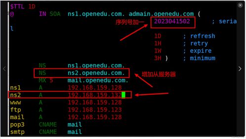 运营商DNS服务器是什么设备(运营商 dns 是否接入 ipv6)