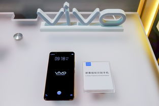 vivo手机提示服务器异常是什么原因(vivo手机提示服务器异常是什么原因呢)