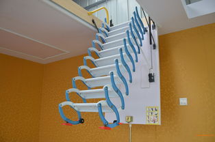 香港自搭建梯子服务器选择(香港服务器做梯子)