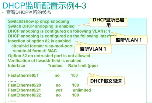 dhcp服务器中继是什么(dhcp服务器配置及dhcp中继)