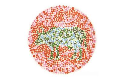 色盲检测图动物及答案(12张色盲色弱测试图动物)