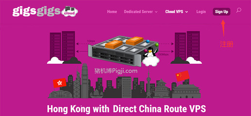 美国cn2服务器香港vps(美国vps 国外服务器)