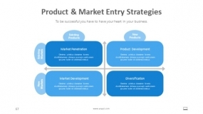 市场营销策略ppt(市场营销策略调查主要包括哪些方面?)