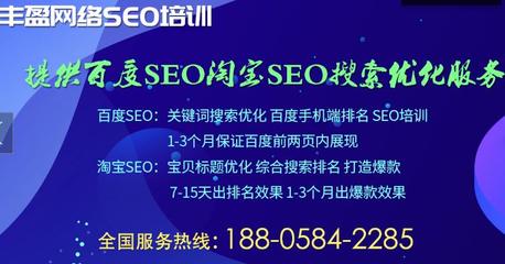seo网站优化培训公司(seo网站优化培训班)