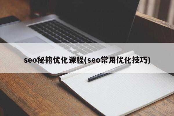 seo秘籍优化课程(seo常用优化技巧)