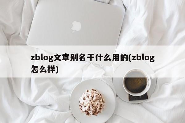 zblog文章别名干什么用的(zblog怎么样)
