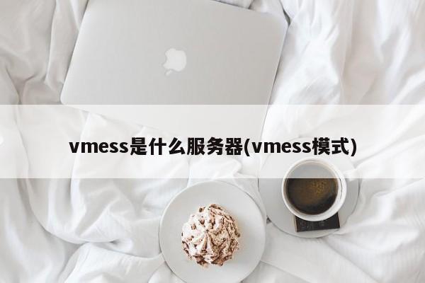 vmess是什么服务器(vmess模式)