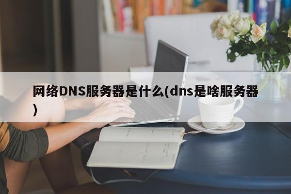 网络DNS服务器是什么(dns是啥服务器)
