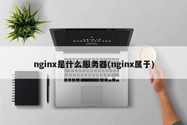 nginx是什么服务器(nginx属于)