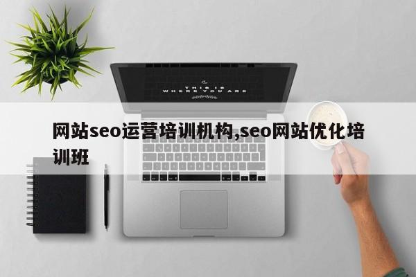 网站seo运营培训机构,seo网站优化培训班