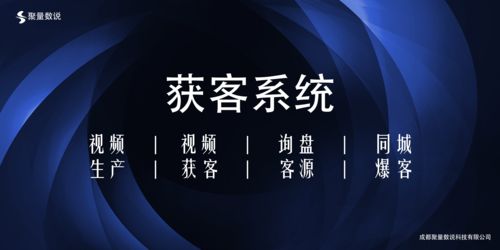 中国seo联盟（seo中国官网）