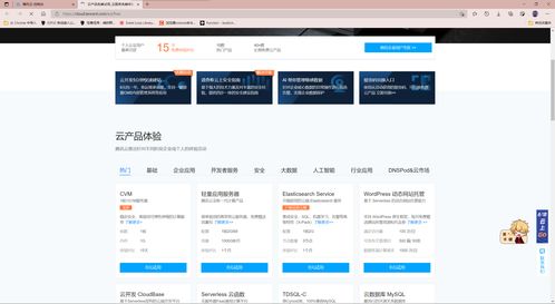 香港云服务器网站网速不足（如何在香港云服务器访问网站）