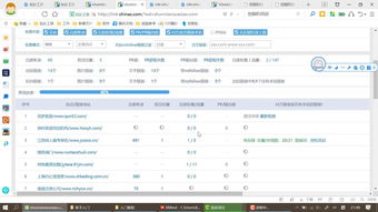 seo网站收录查询工具（查网站排名收录工具）