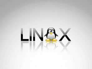 租linux服务器（租服务器怎么租）