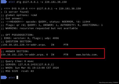dns服务器命令（常用DNS服务器地址）
