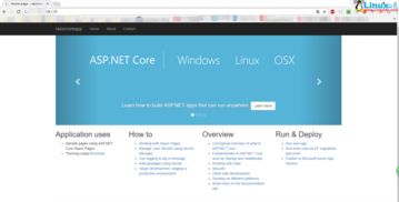 asp.net服务器架设（aspnet core 部署）