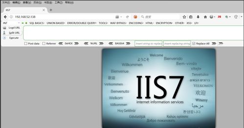 vps服务器的iis网站（服务器IIS）