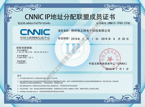 cnnic服务器证书（CNNIC证书）