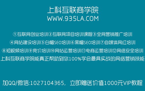 徐州seo附子（附子seo软件2022）