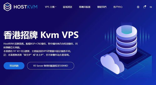 香港服务器vps系统的简单介绍