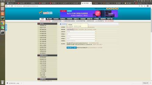 香港nat服务器（NA服务器）