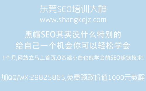 seo培训机构排名（SEO培训学校）
