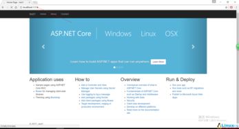asp.net获取服务器cpu使用方法的简单介绍