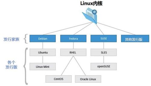 Linux服务器一般是什么系统(linux服务器是什么意思)