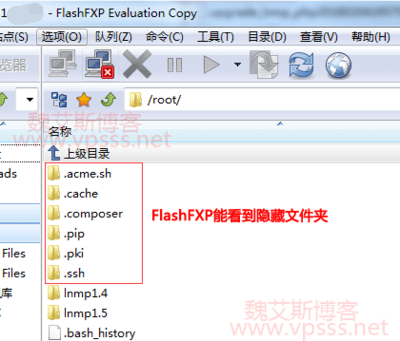 fxp服务器账号密码是什么(fpt服务器)