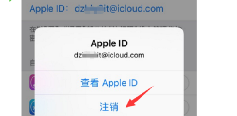 输入苹果id服务器出错是什么意思(苹果手机登入id时出现服务器失误)