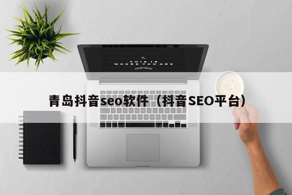 青岛抖音seo软件（抖音SEO平台）