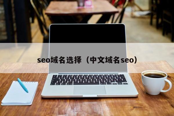 seo域名选择（中文域名seo）