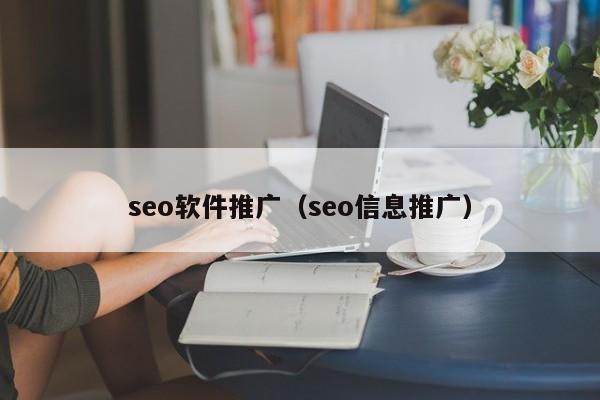seo软件推广（seo信息推广）