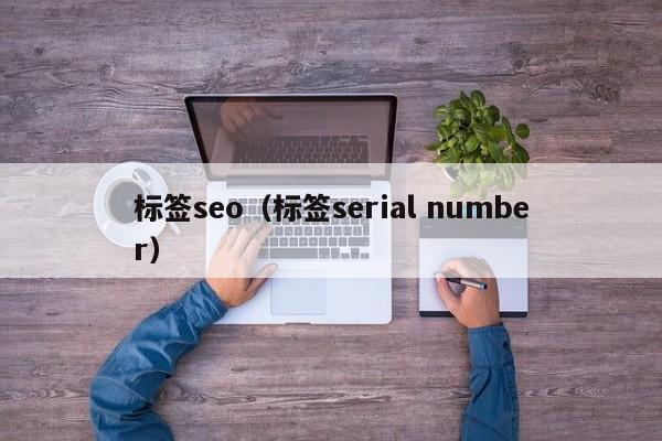标签seo（标签serial number）
