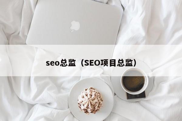 seo总监（SEO项目总监）
