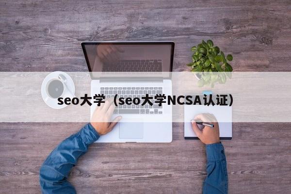 seo大学（seo大学NCSA认证）