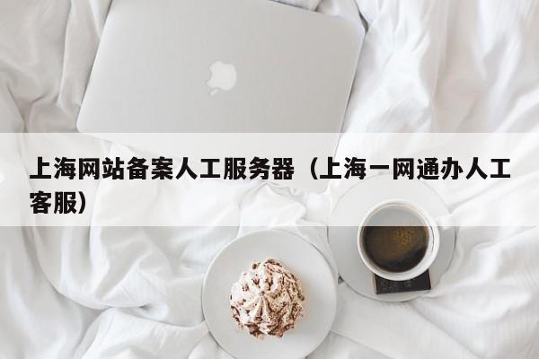 上海网站备案人工服务器（上海一网通办人工客服）