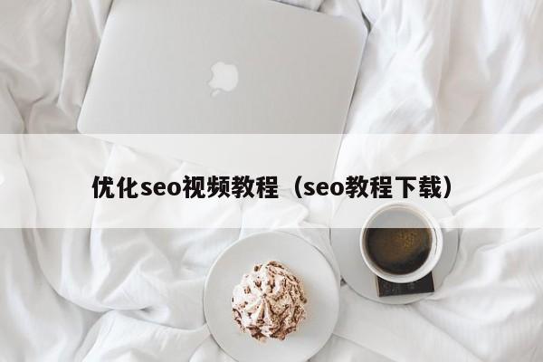 优化seo视频教程（seo教程下载）