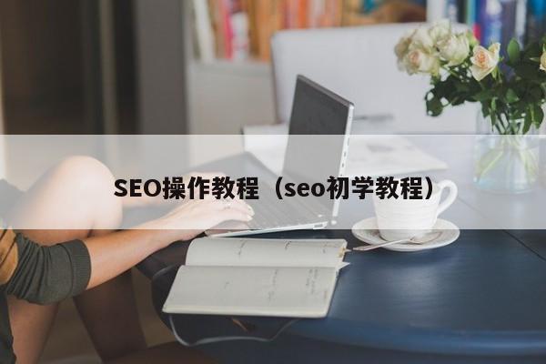 SEO操作教程（seo初学教程）