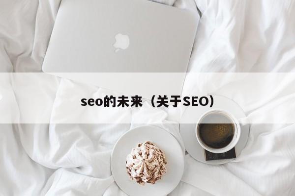 seo的未来（关于SEO）