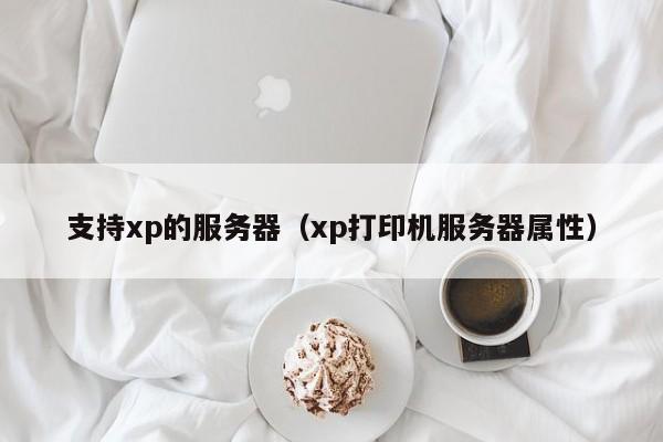 支持xp的服务器（xp打印机服务器属性）