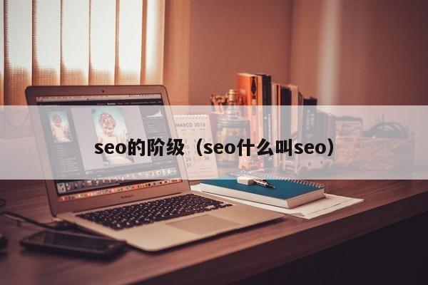 seo的阶级（seo什么叫seo）