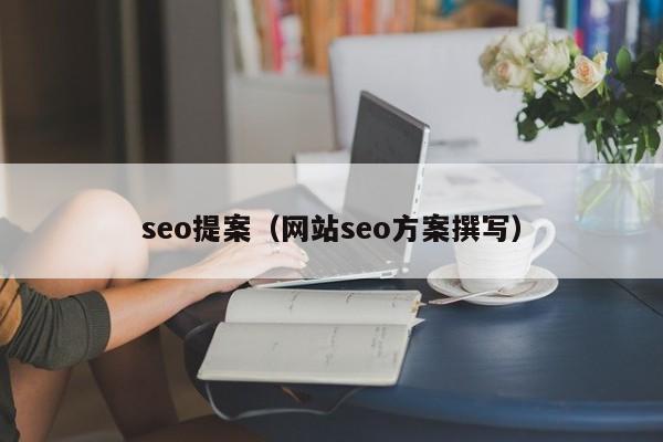 seo提案（网站seo方案撰写）