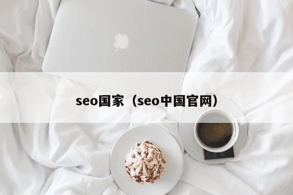 seo国家（seo中国官网）