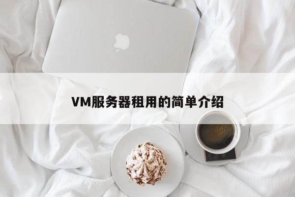 VM服务器租用的简单介绍