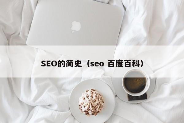 SEO的简史（seo 百度百科）
