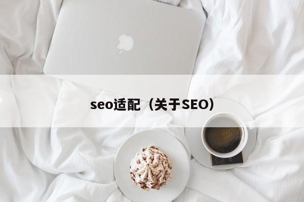 seo适配（关于SEO）