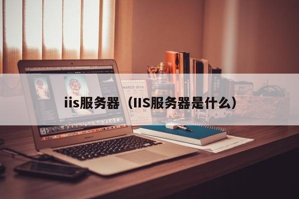 iis服务器（IIS服务器是什么）